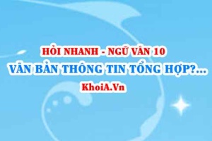 Văn bản thông tin tổng hợp là gì? Bản tin là gì? Ngữ Văn lớp 10